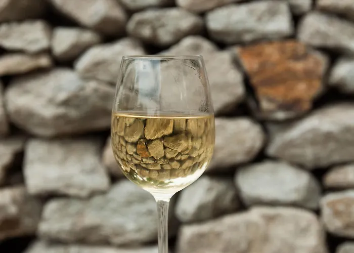 Prabatsch-aichinger Winzergut *