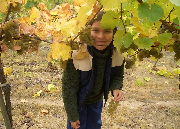 Prabatsch-aichinger Winzergut Langenlois